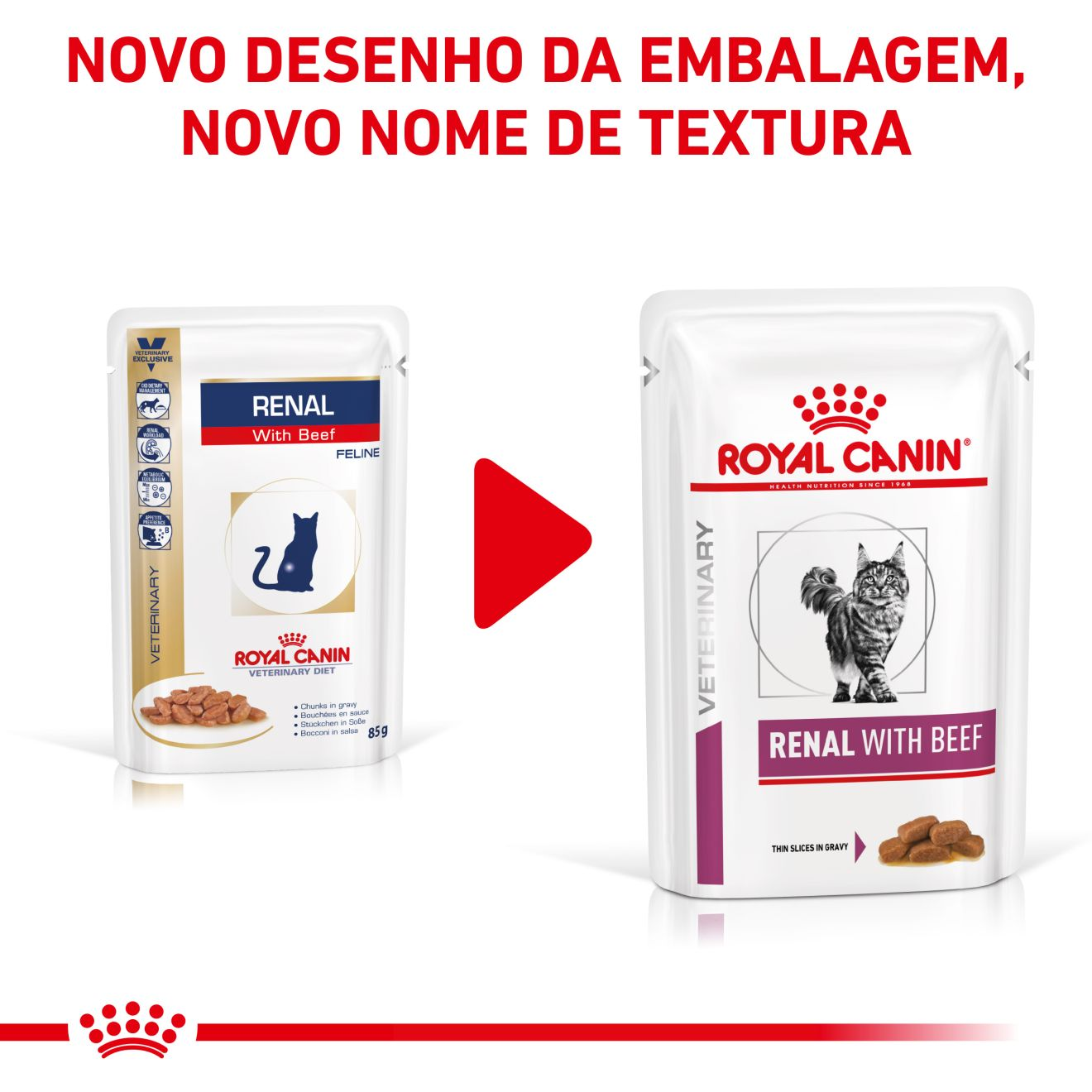 Renal with Beef fatias finas com molho