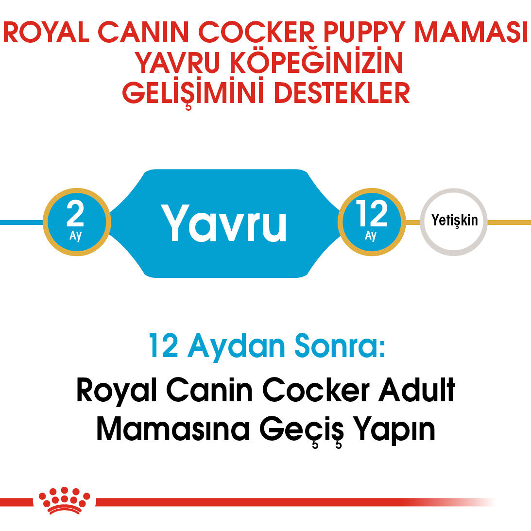 Royal canin cocker clearance puppy