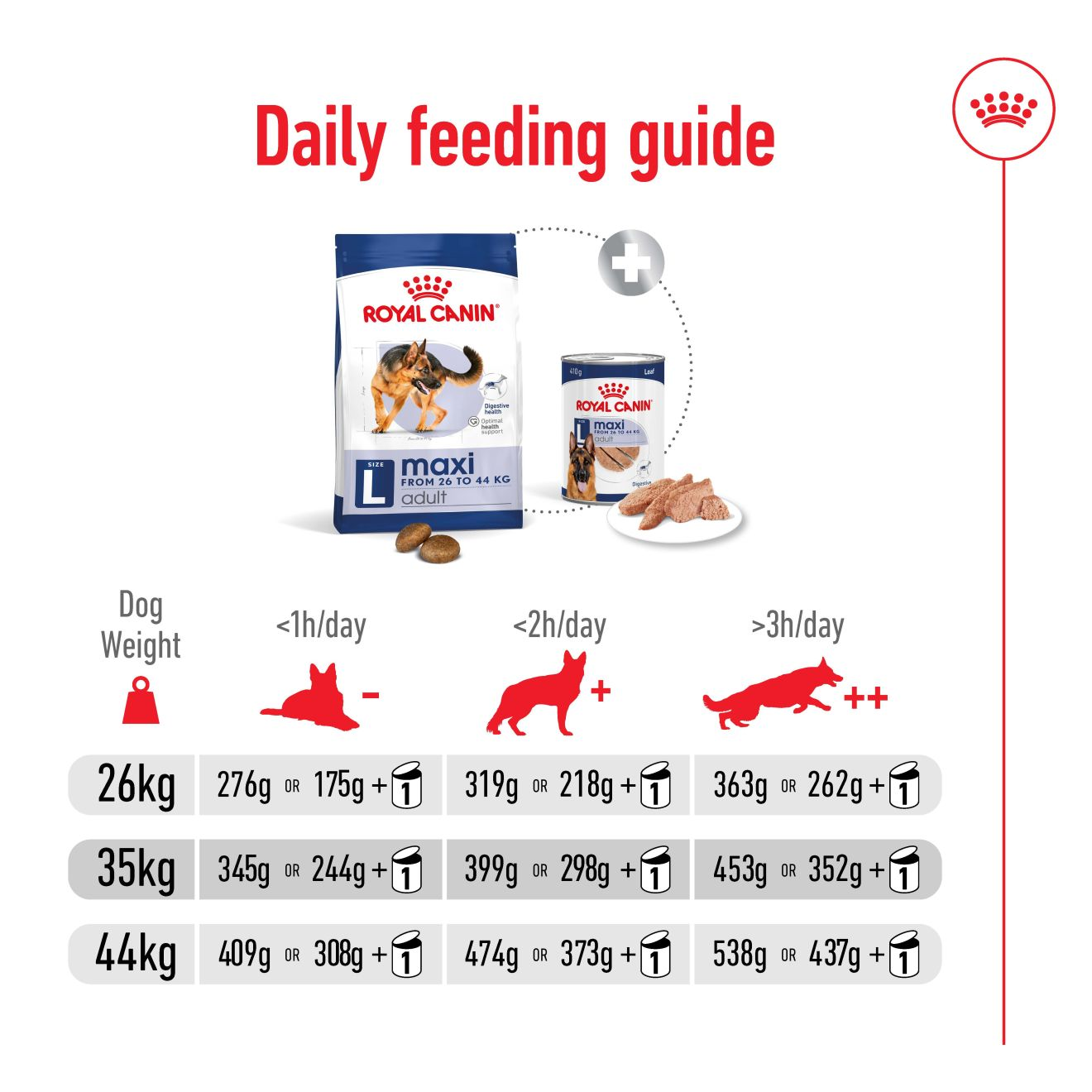 MAXI Adult Large Dog