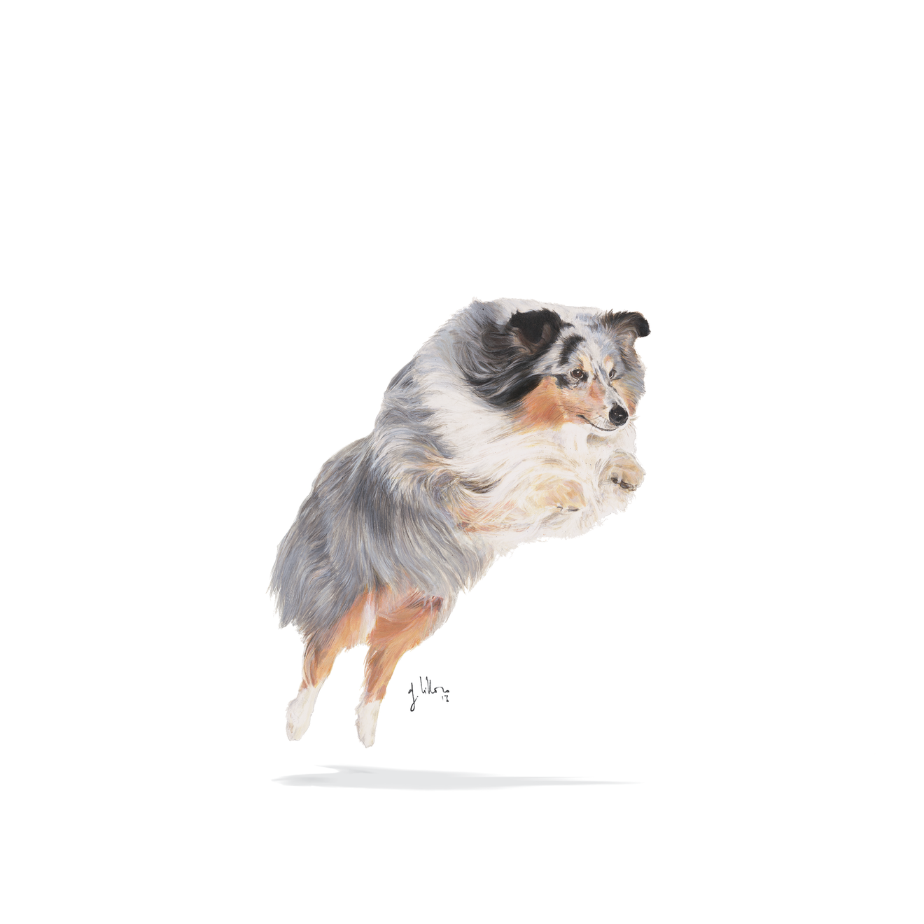 Sporting Life Agility 4100 s