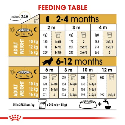 Royal canin feeding outlet chart