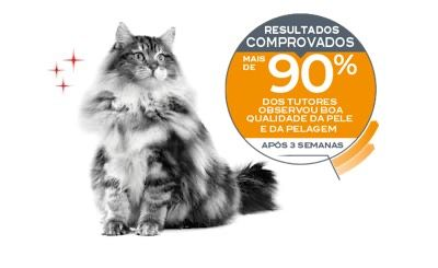 Emblematic of cat with hair & skin sensitivity and associated proven results