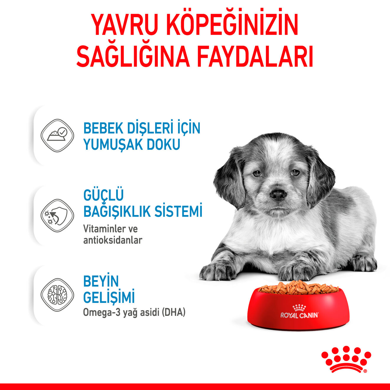 Medium Puppy Gravy Yavru Köpek Yaş Maması