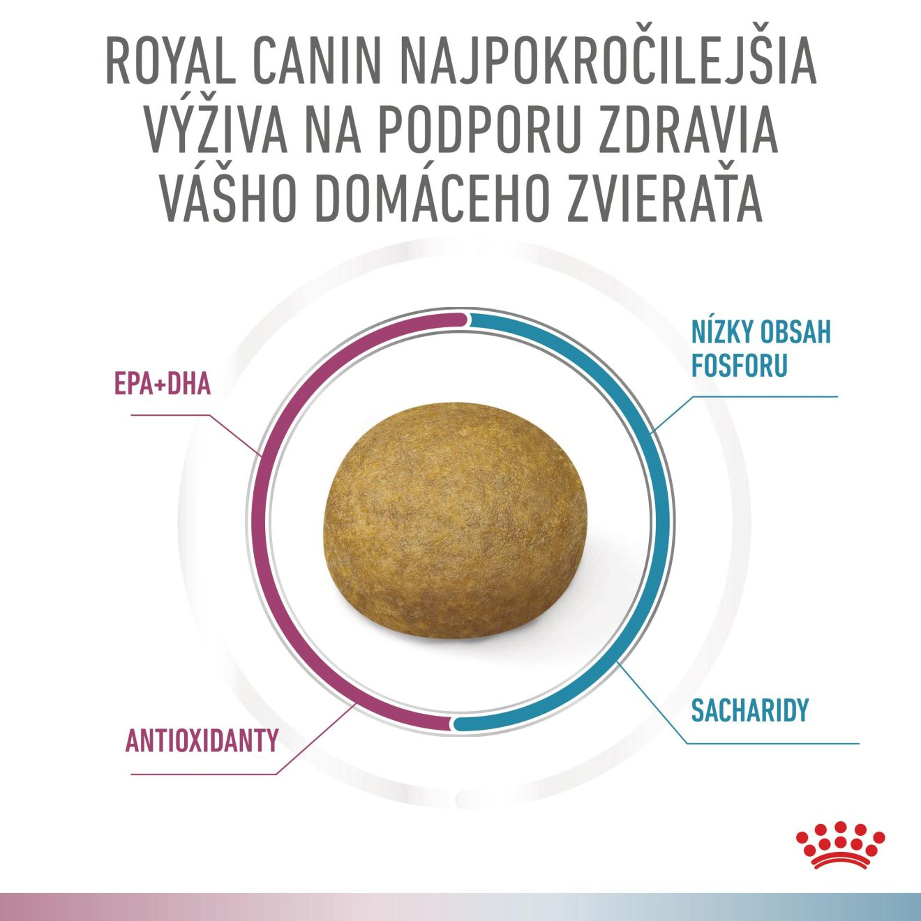 VHN Dog CA Renal-Hypoallergenic
