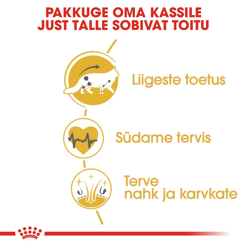 Royal Canin Maine Coon Adult kuivtoit