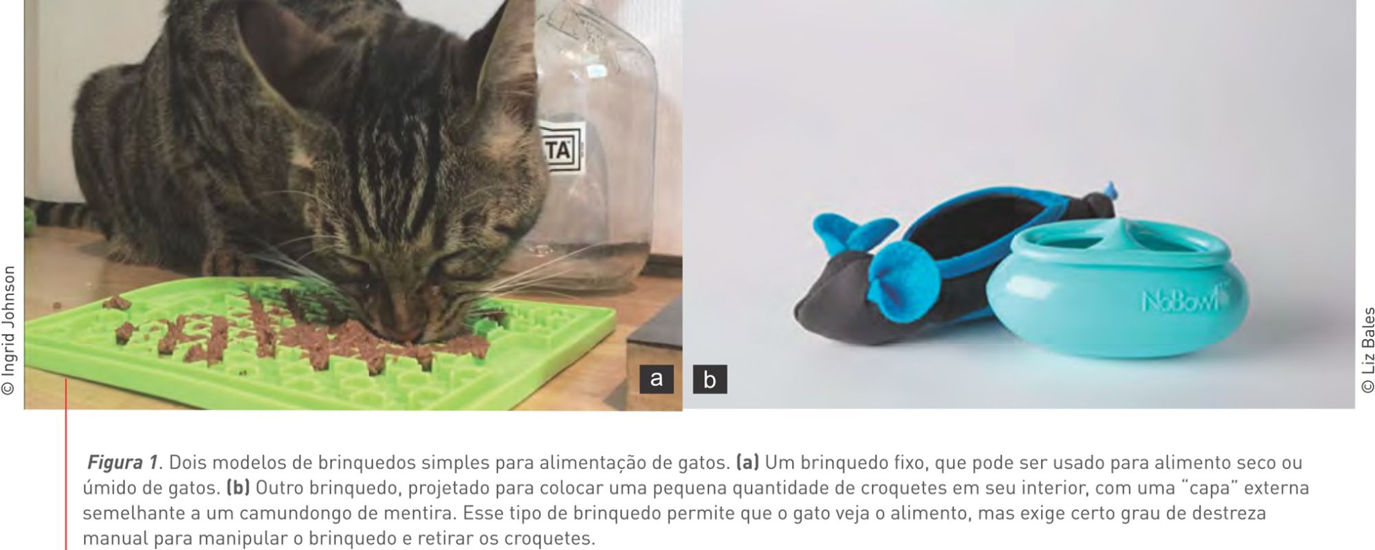 Figura 1b. Outro brinquedo (também disponível no mercado), projetado para colocar uma pequena quantidade de croquetes em seu interior, com uma “capa” externa semelhante a um camundongo de mentira. Esse tipo de brinquedo permite que o gato veja o alimento, mas exige certo grau de destreza manual para manipular o brinquedo e retirar os croquetes. © Liz Bales