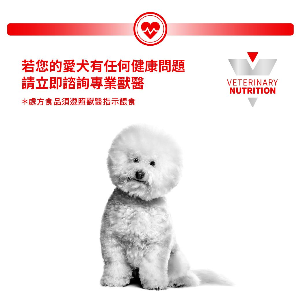 小型成犬低敏感處方