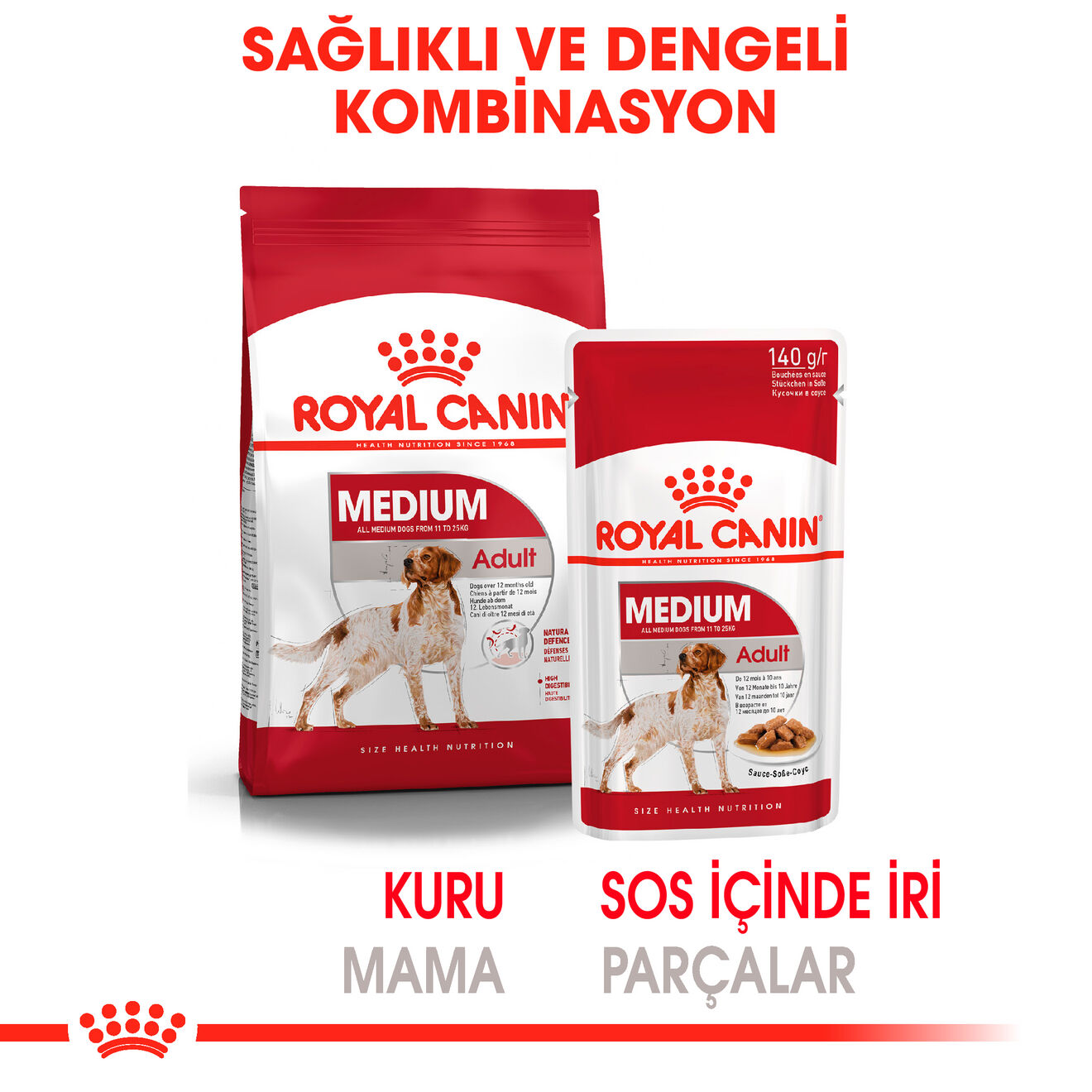 Medium Adult Gravy Yetişkin Köpek Yaş Maması