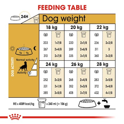 Royal canin setter store food