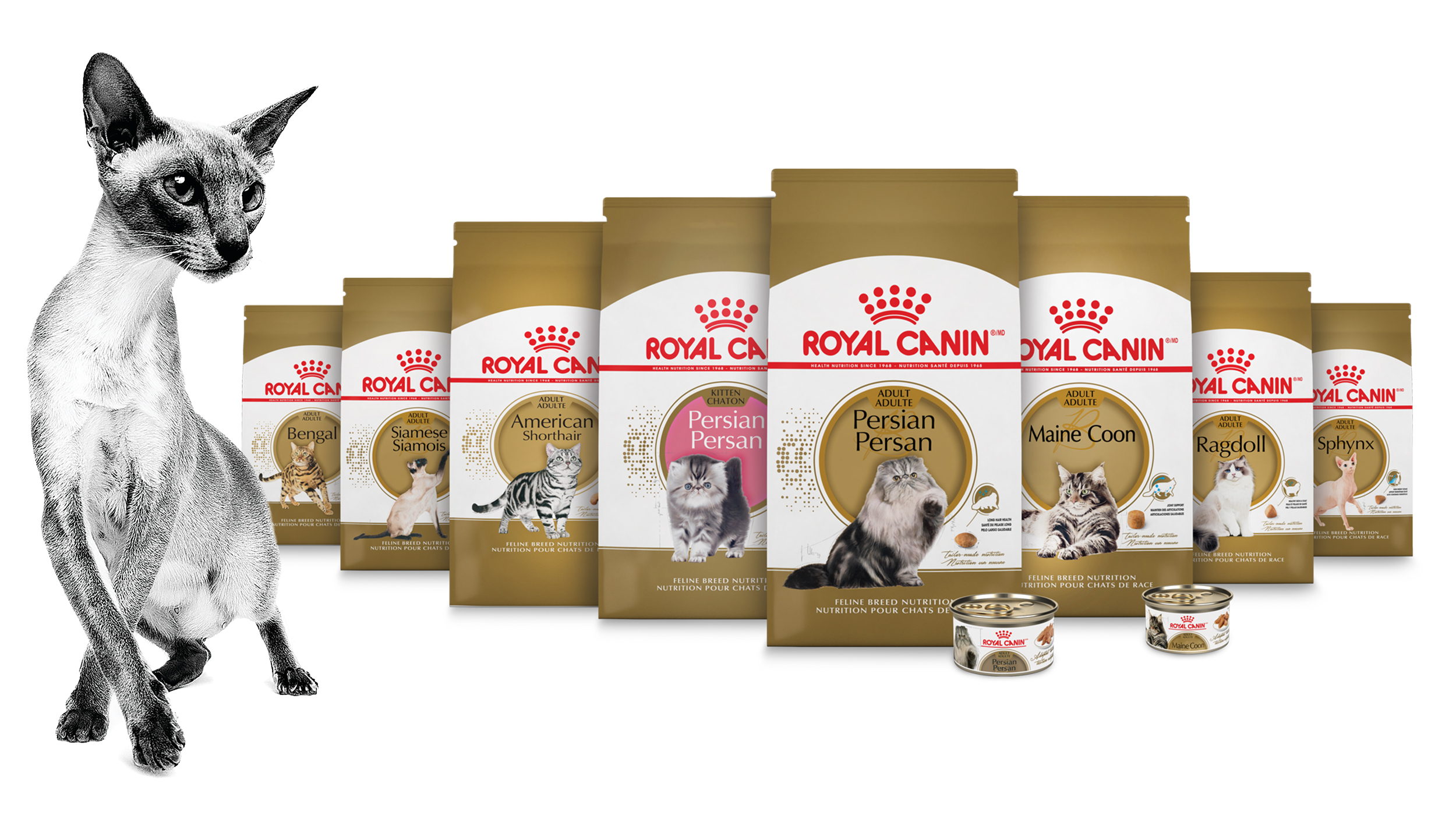 Nourriture Pour Chat Et Chaton Royal Canin