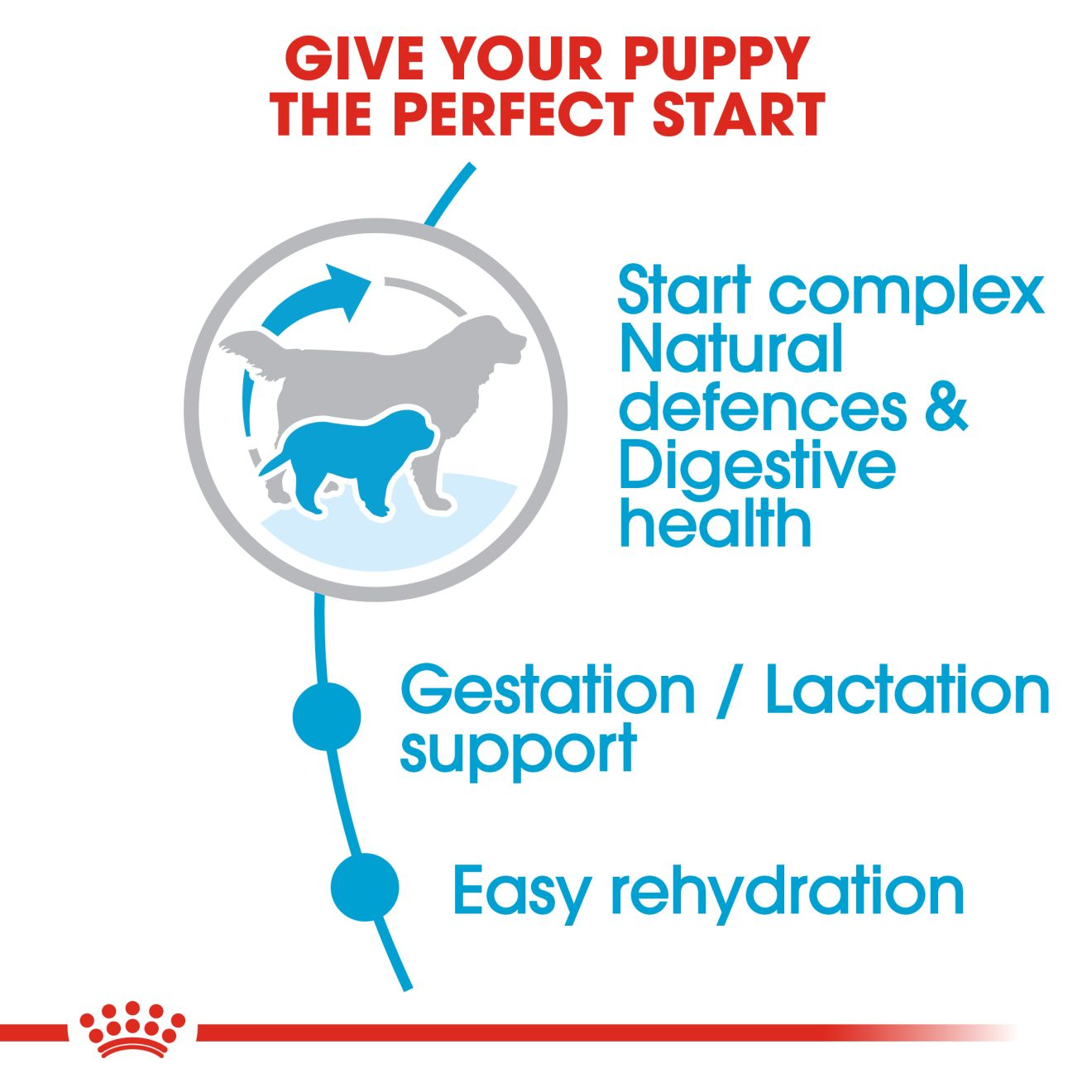 Royal canin best sale giant puppy starter