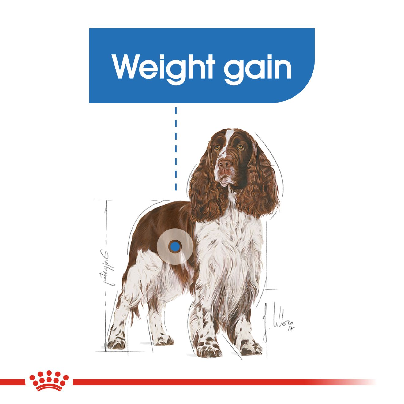 Royal canin light store weight care 13kg