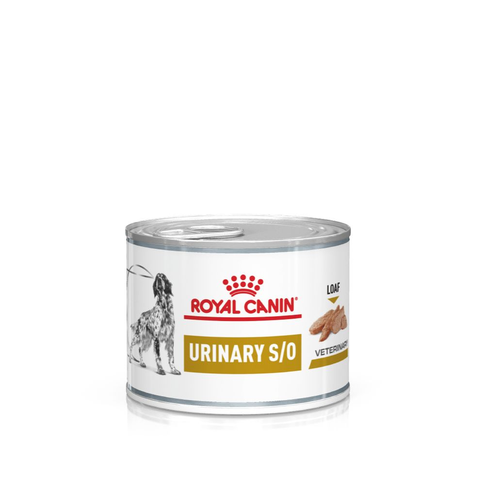 Royal canin so wet best sale dog food