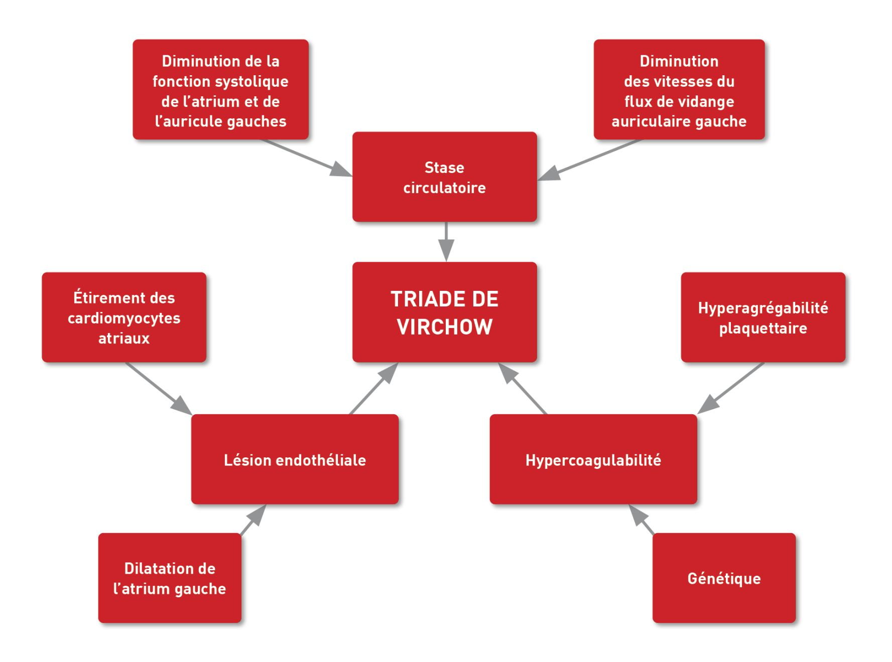 Facteurs intervenant dans la triade de Virchow