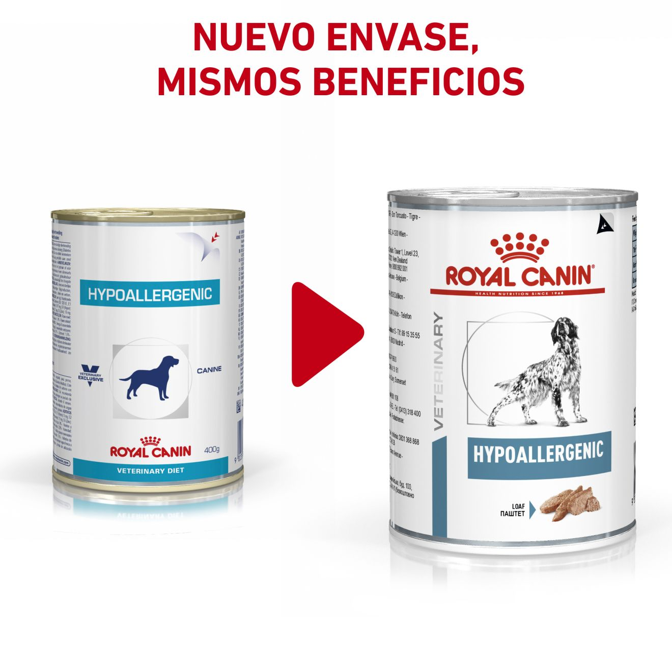 Hypoallergenic royal shop canin pate