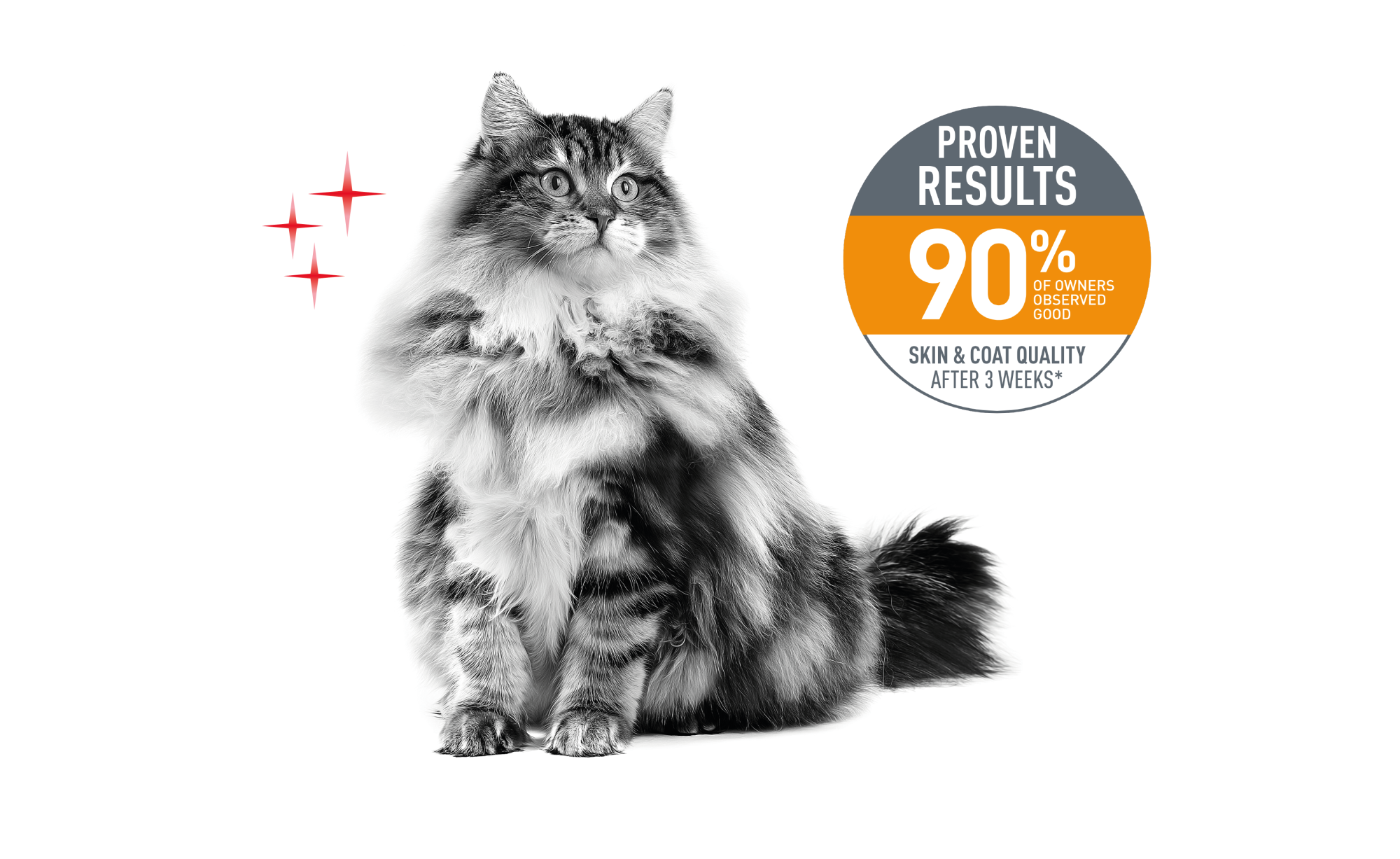 Emblematic of cat with hair & skin sensitivity and associated proven results