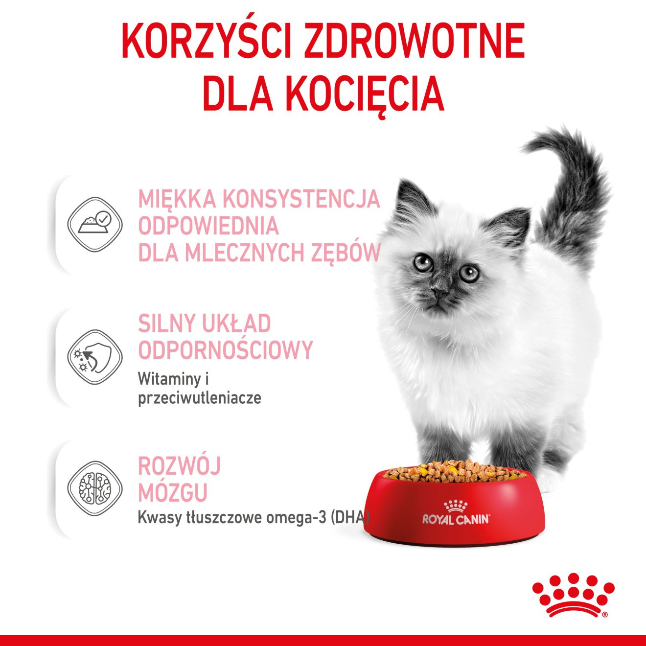 ROYAL CANIN Kitten Instinctive karma mokra w galaretce dla kociąt do 12 miesiąca życia
