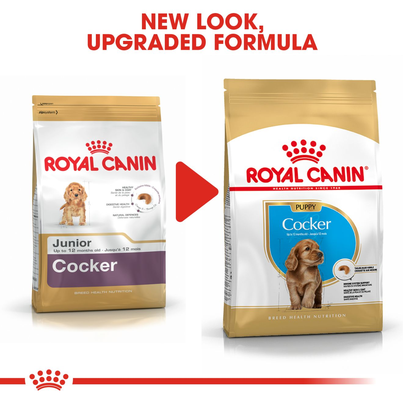 Cocker Spaniel Puppy – Dog Food, Royal Canin Shop