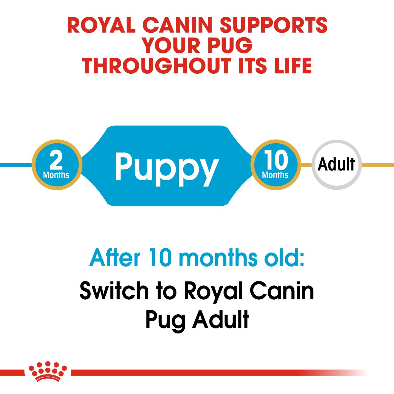 Royal canin 2024 pug puppy