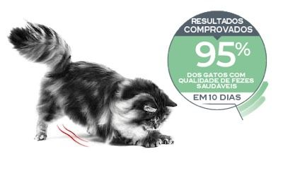 Emblematic of cat with digestive sensitivity and associated proven results