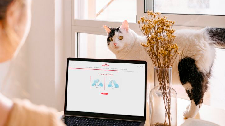 Une femme sur son ordinateur portable consulte le guide de nutrition Royal Canin pendant que son chat l'observe.