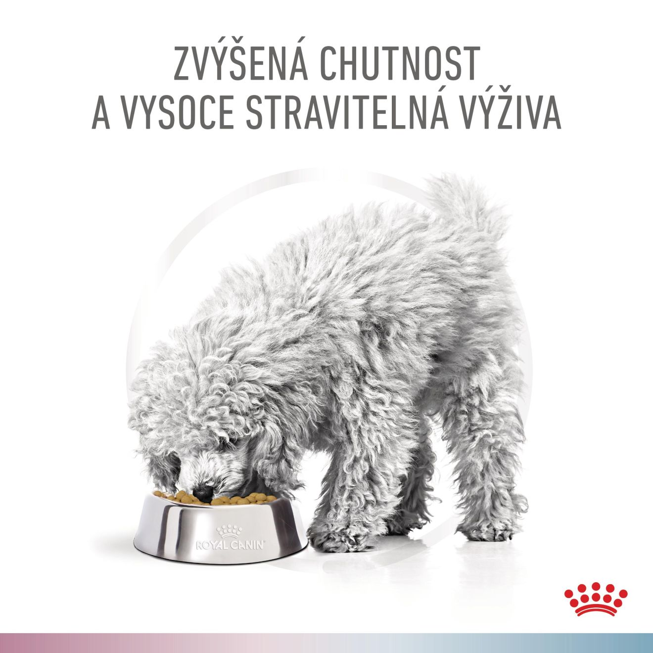 VHN Dog CA Renal-Hypoallergenic