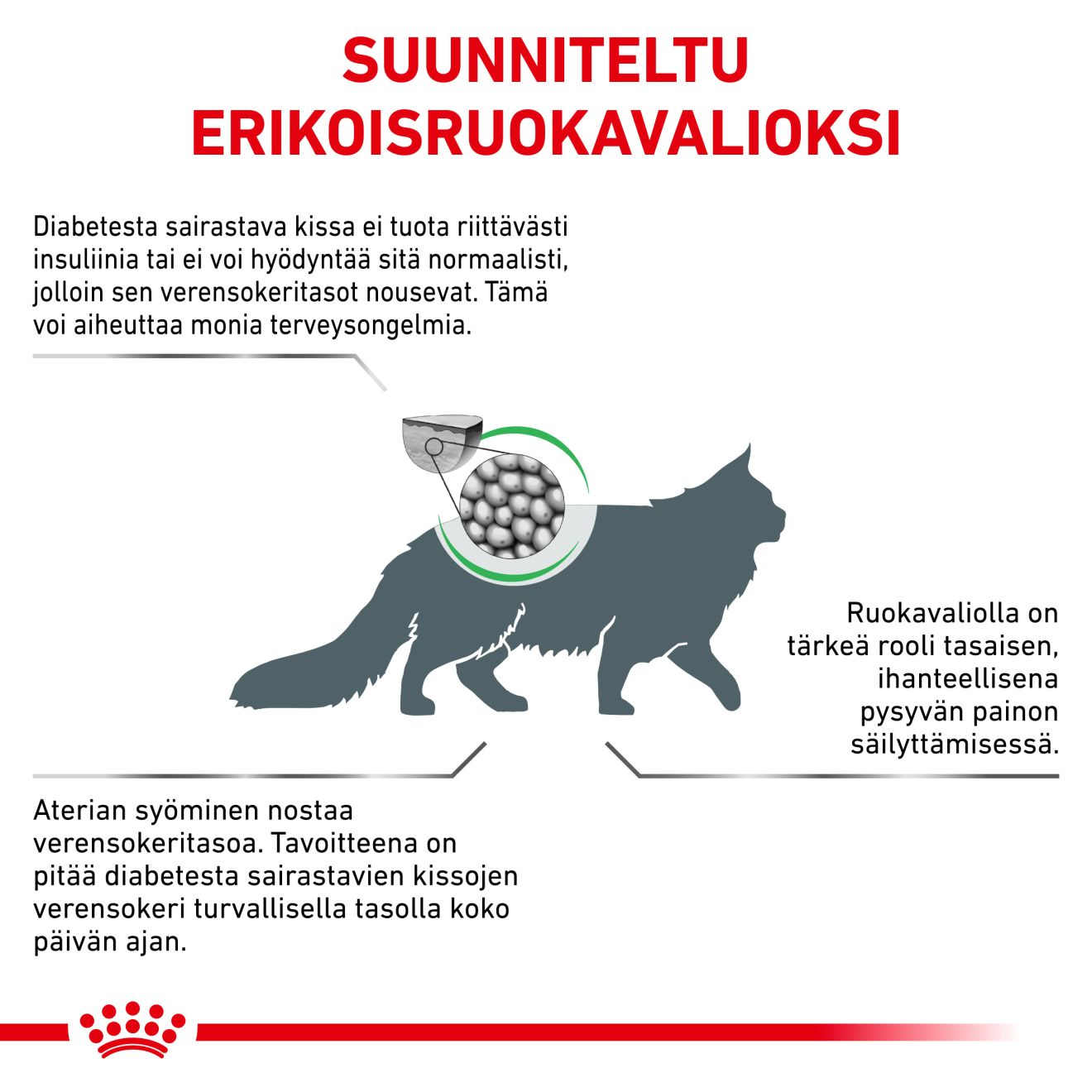 Weight Management Diabetic