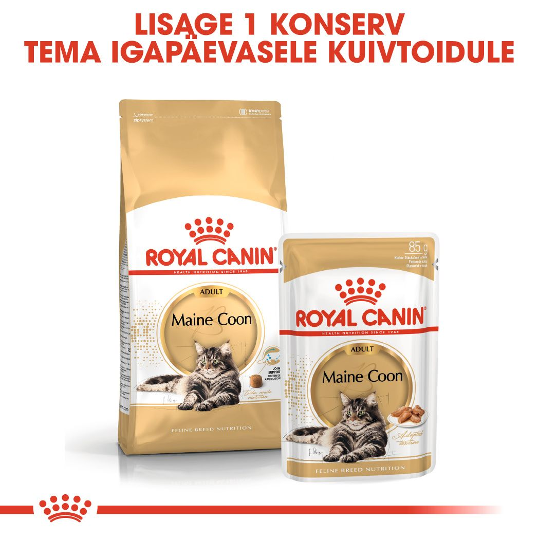 Royal Canin Maine Coon Adult kuivtoit