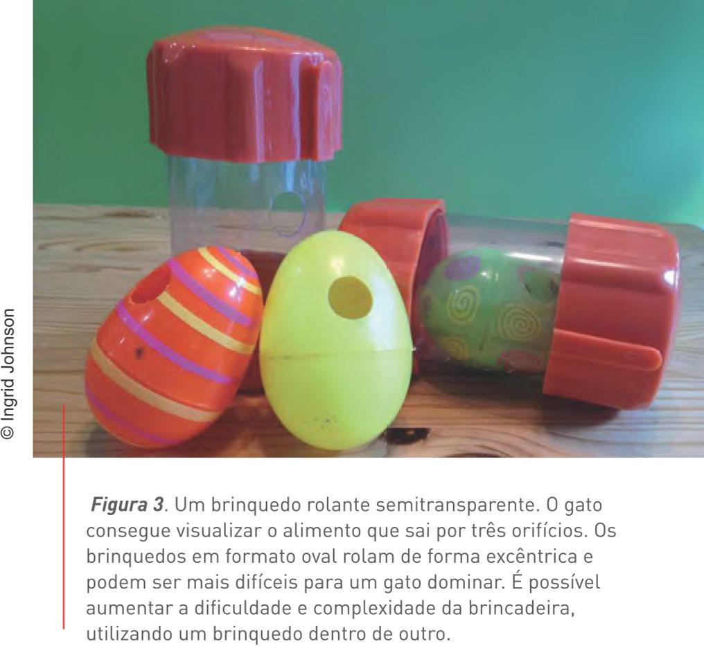 Figura 3. Um brinquedo rolante semitransparente, disponível no mercado. O gato consegue visualizar o alimento que sai por três orifícios. Os brinquedos em formato oval rolam de forma excêntrica e podem ser mais difíceis para um gato dominar. É possível aumentar a dificuldade e complexidade da brincadeira, utilizando um brinquedo dentro de outro. © Ingrid Johnson