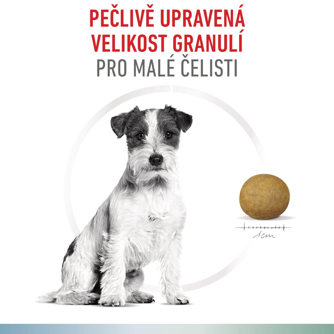 VHN Dog CA Hypoallergenic - Satiety Small