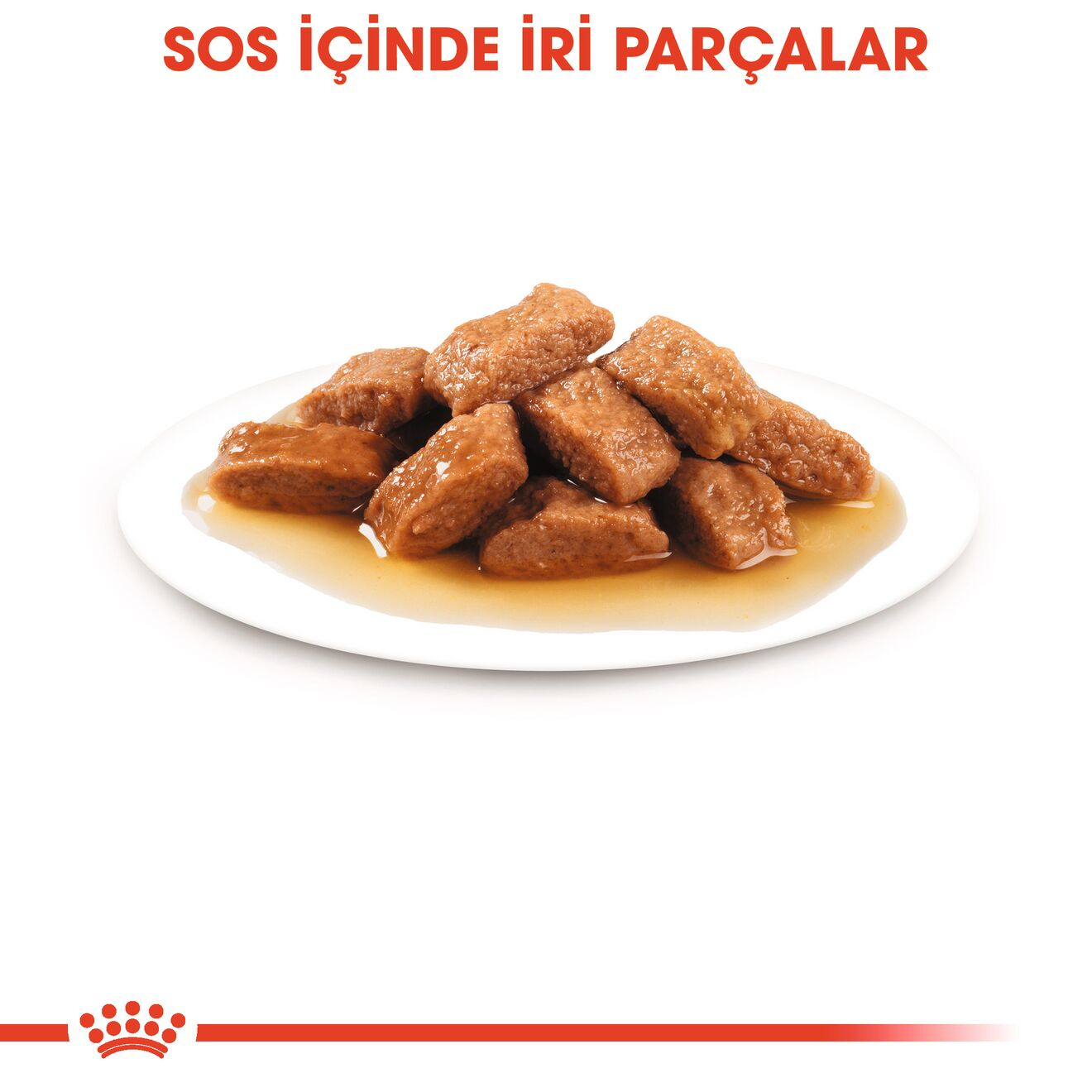 Medium Adult Gravy Yetişkin Köpek Yaş Maması