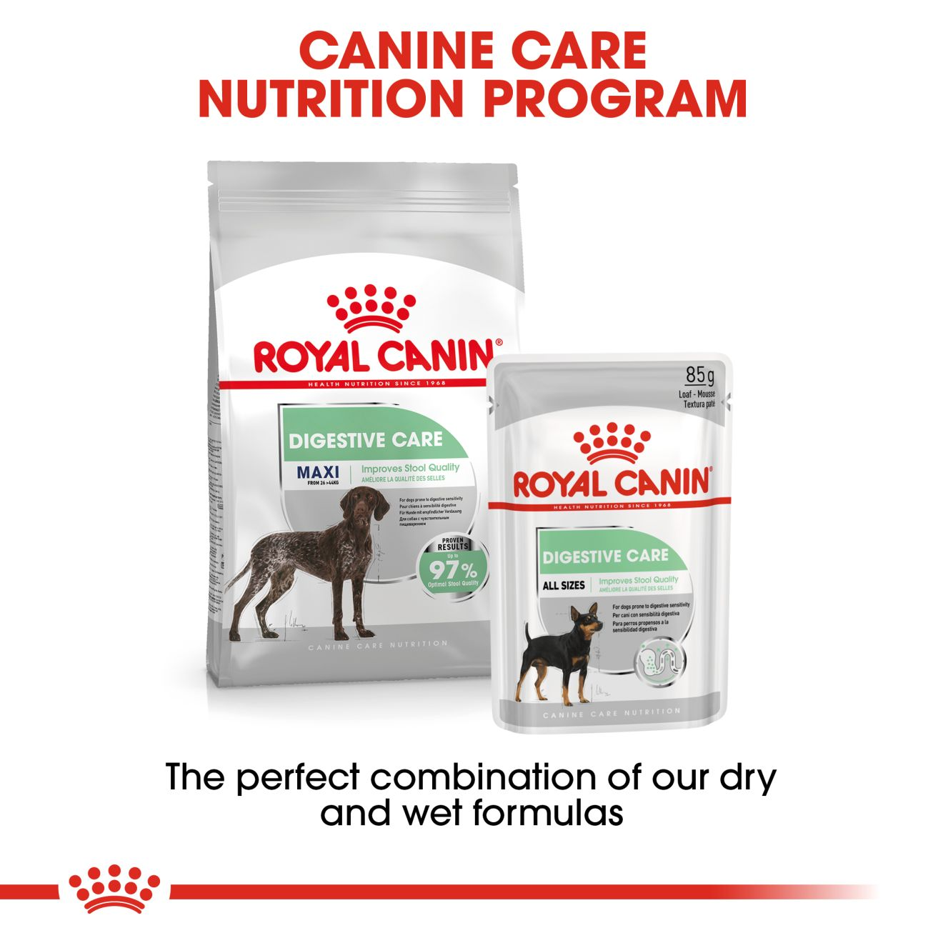 niezen Verliefd paradijs Maxi Digestive Care dry | Royal Canin