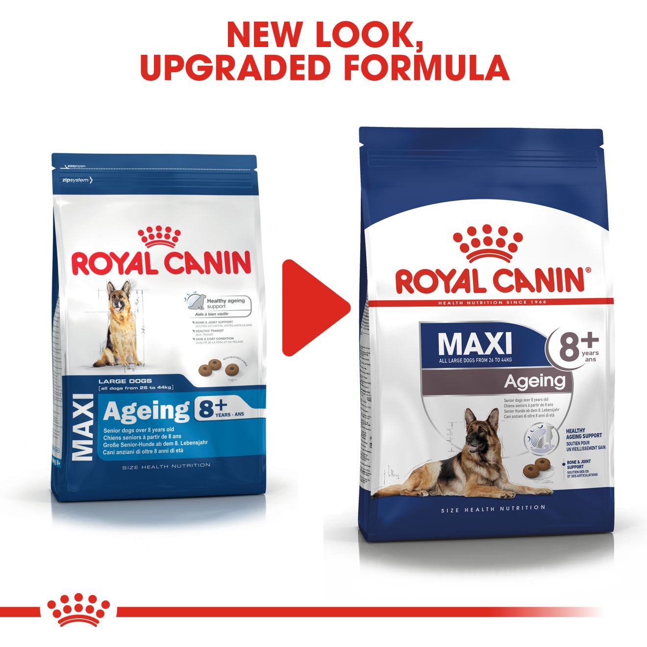 Royal canin 2025 senior large breed