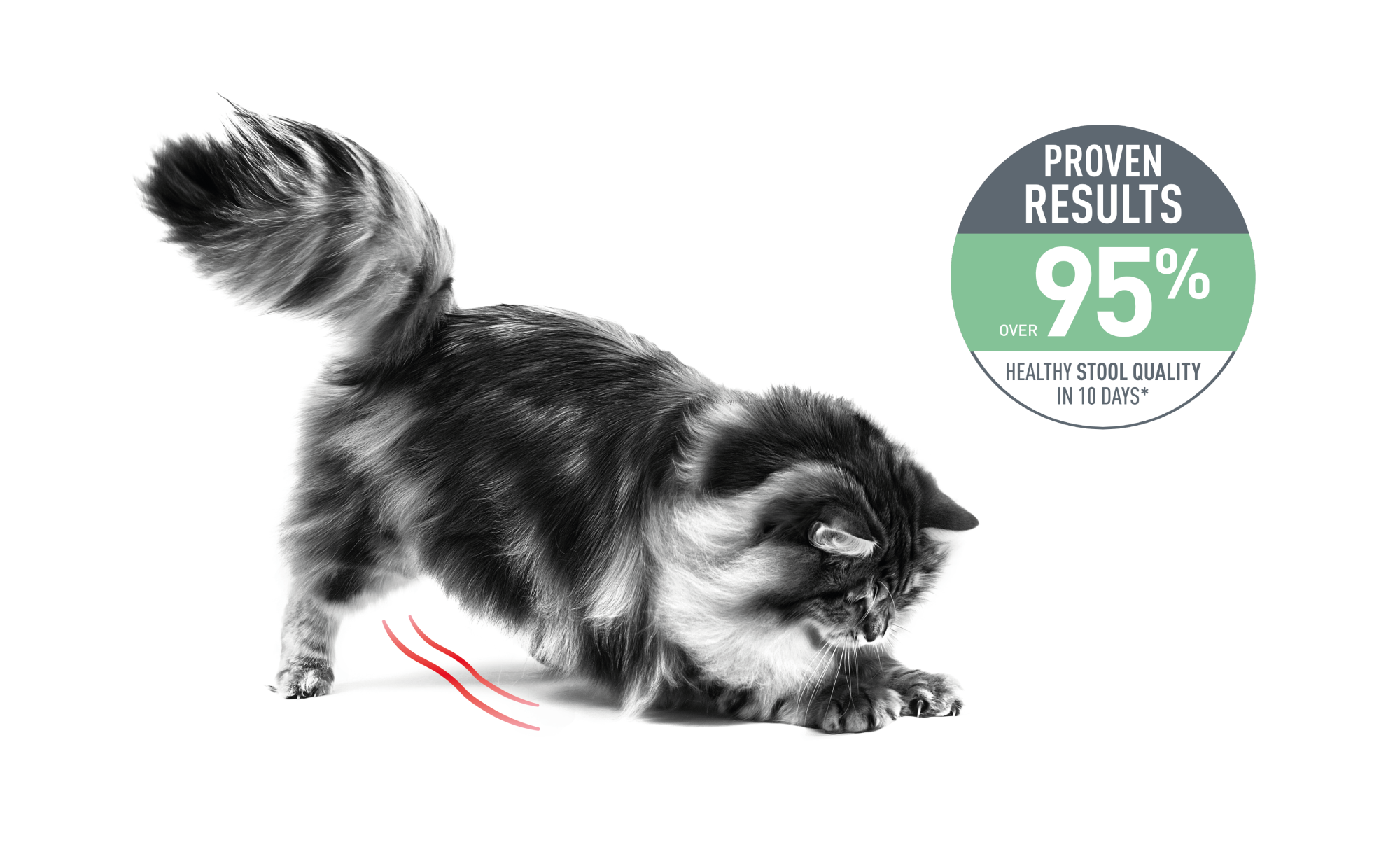 Emblematic of cat with digestive sensitivity and associated proven results