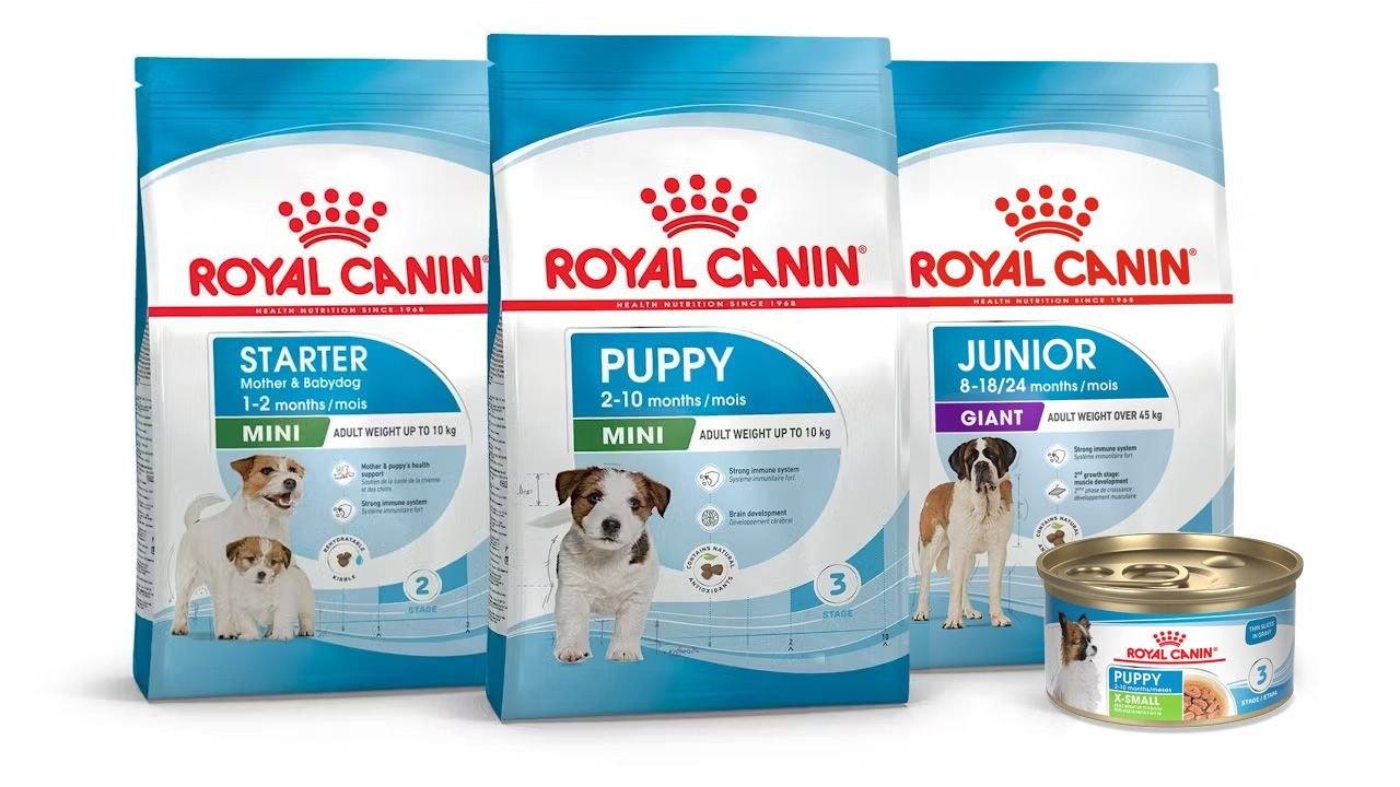 Gama Programa de Crecimiento para Cachorros de Royal Canin