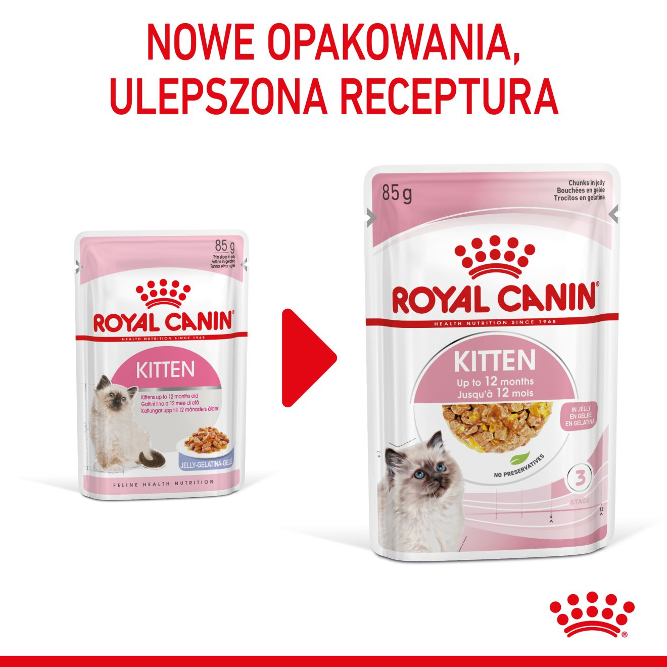 ROYAL CANIN Kitten Instinctive karma mokra w galaretce dla kociąt do 12 miesiąca życia