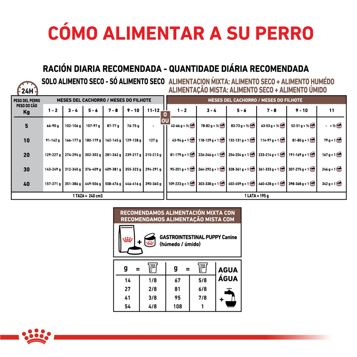 Gastrointestinal Canine Puppy