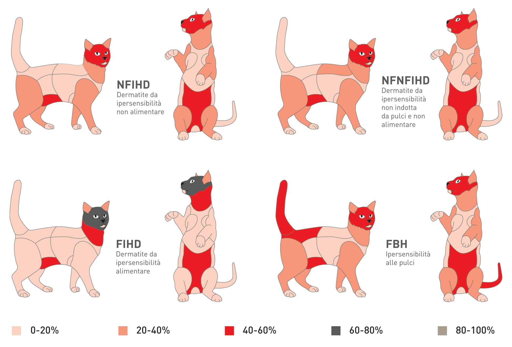 Silhouettes depicting the proportion of distribution of lesions in cats with hypersensitivity dermatides 