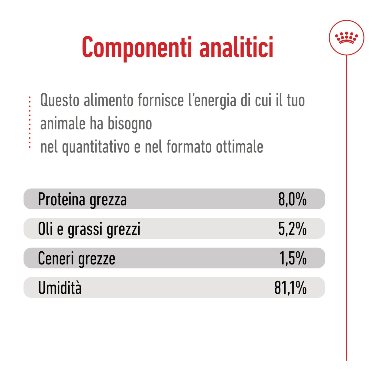 X-Small Adult bocconcini in salsa