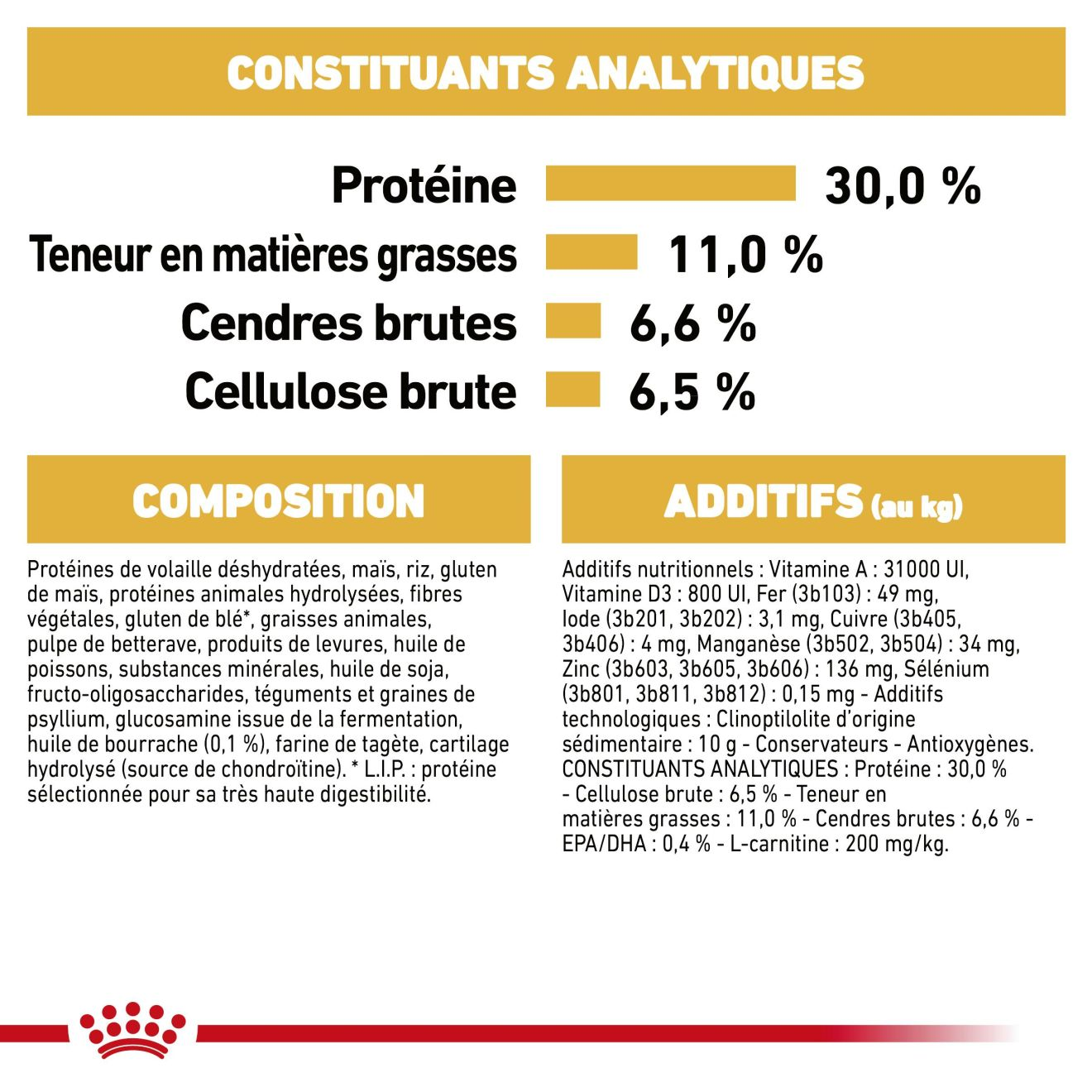 Labrador Retriever Adulte Stérilisé