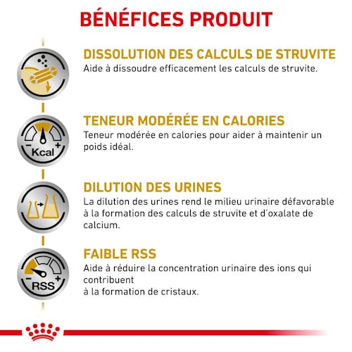 Urinary   S/O Moderate Calorie