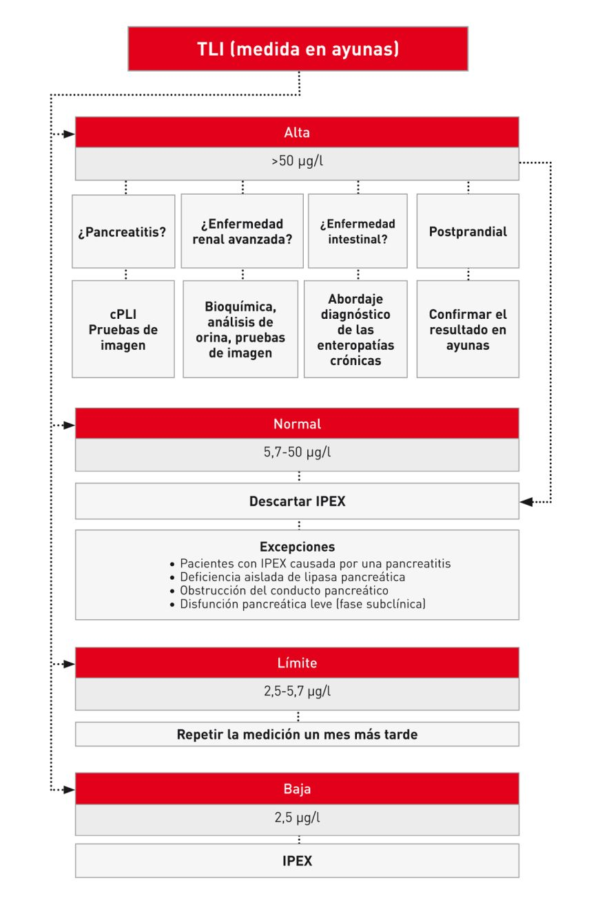 Interpretación de los resultados de la cTLI sérica.