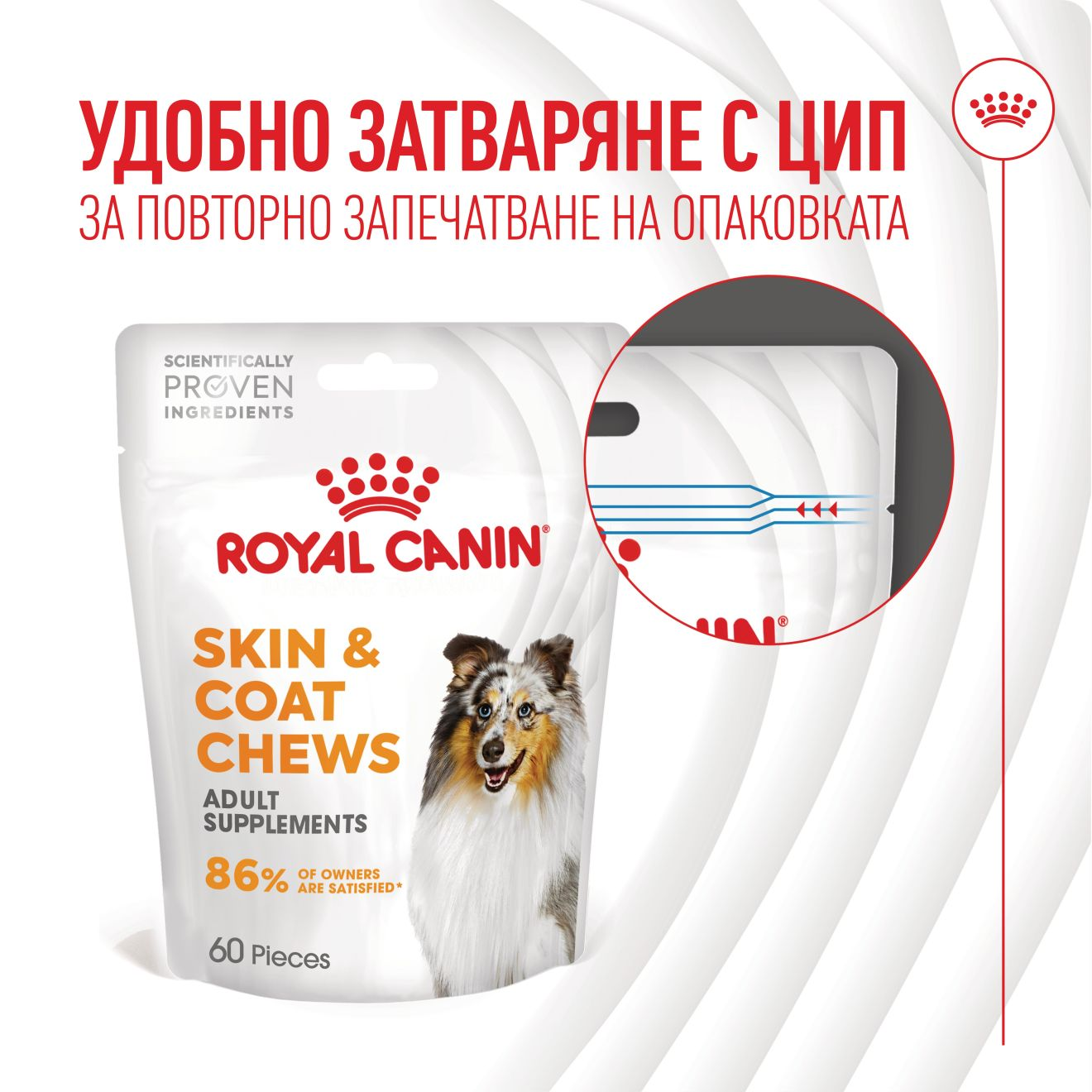 SKIN & COAT CHEWS