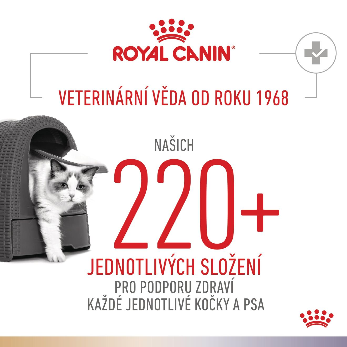 VHN Cat CA Urinary S/O Bladder Comfort