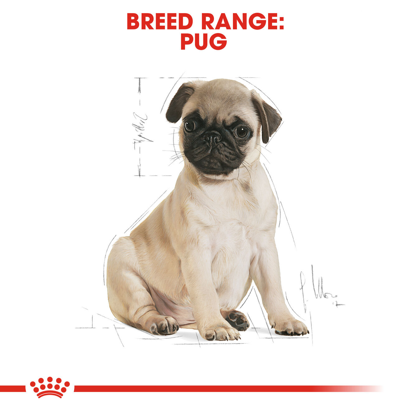 Royal canin pug food ingredients sale