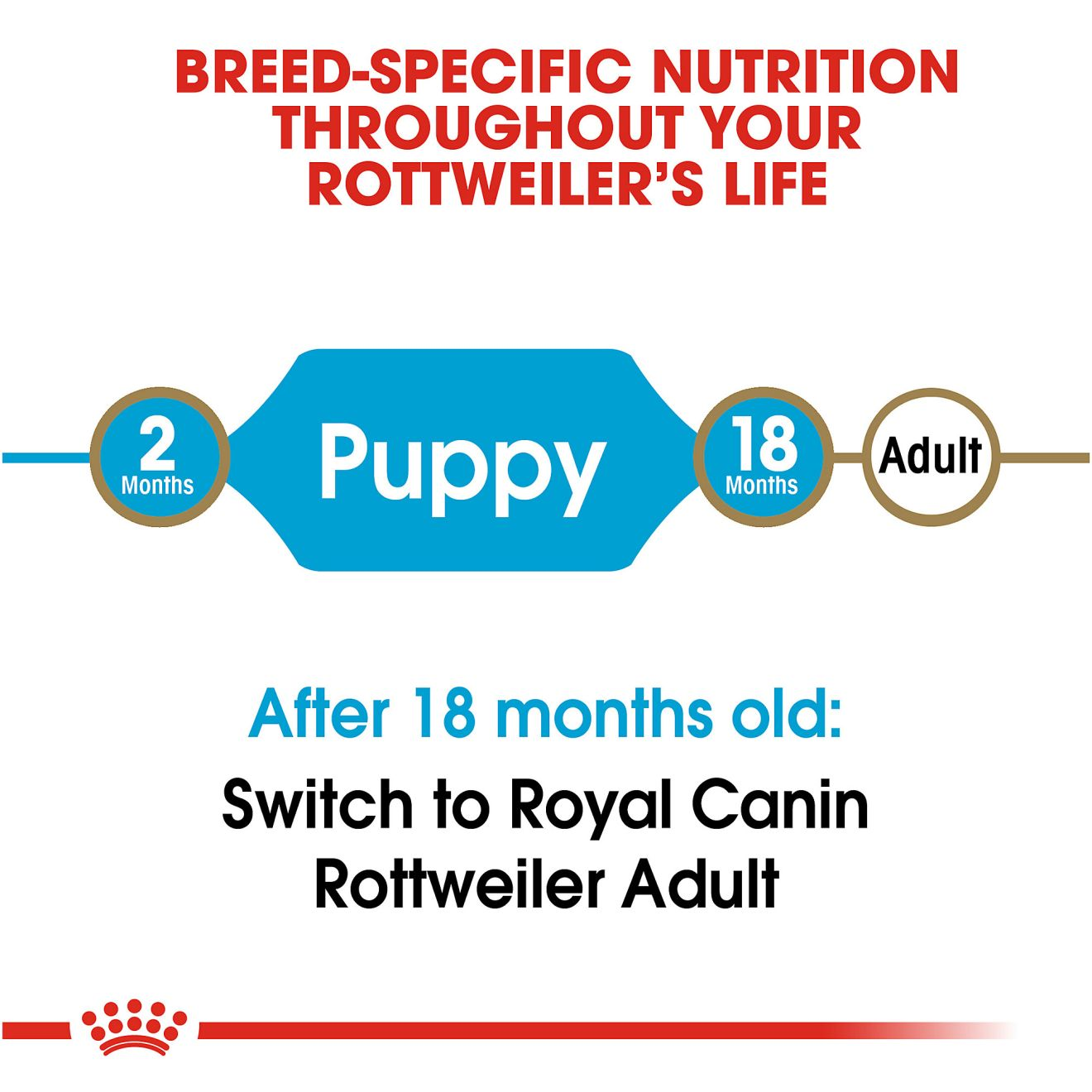 Rottweiler Puppy Dry Dog Food Royal Canin US