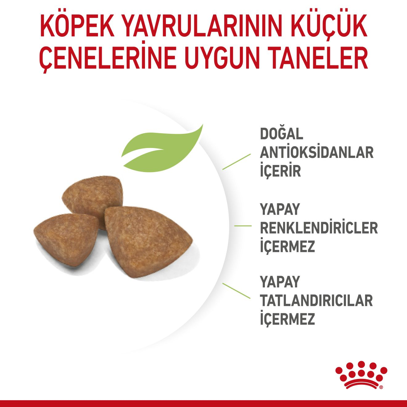 X-Small Puppy Yavru Köpek Kuru Maması