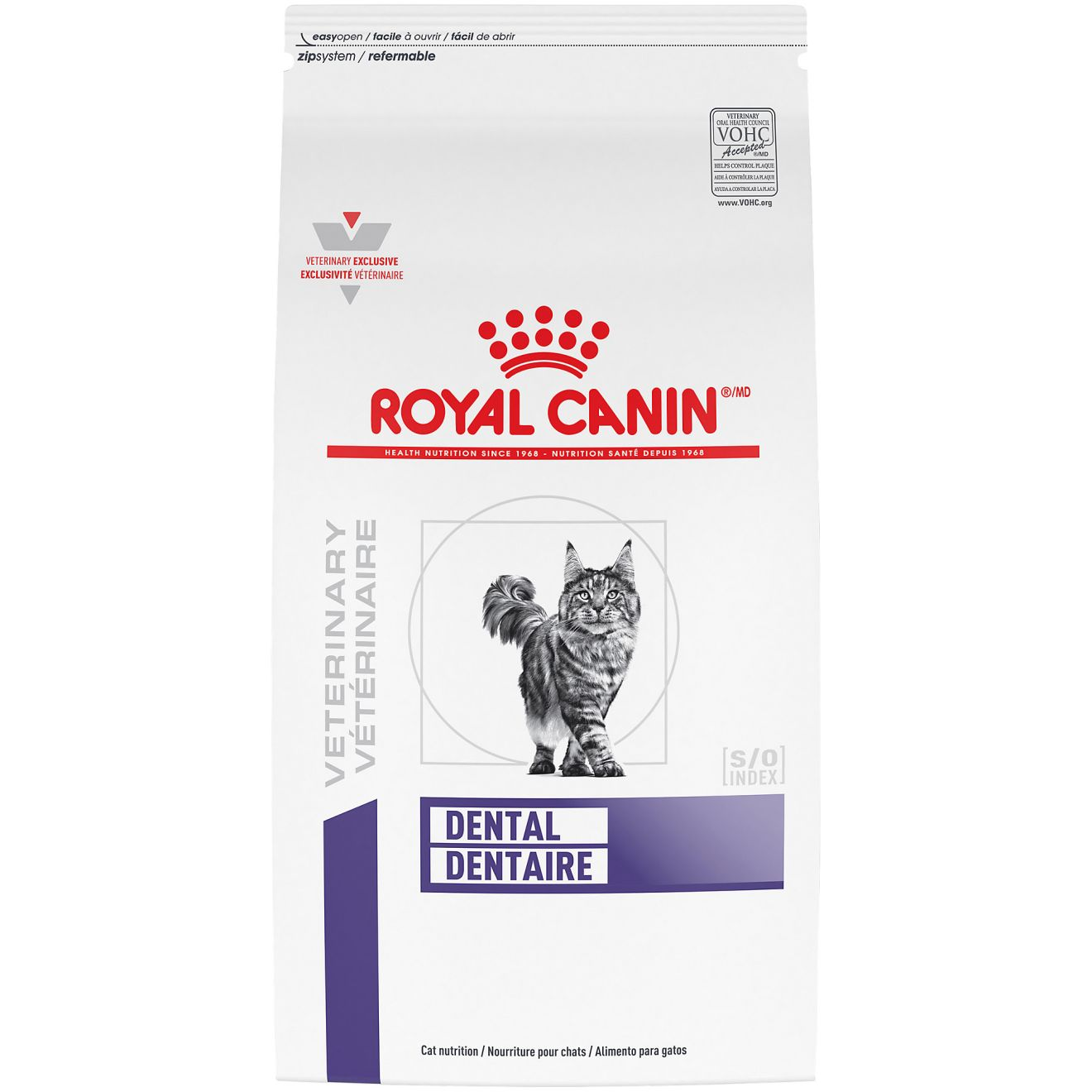 dræne analog bruge Feline Dental | Royal Canin US
