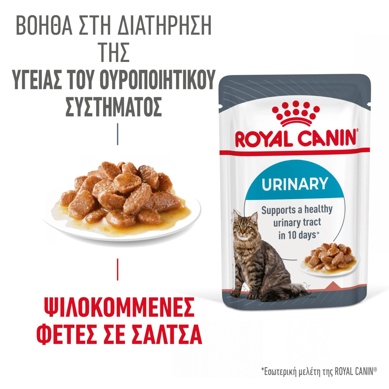 URINARY CARE Λεπτές φέτες σε σάλτσα