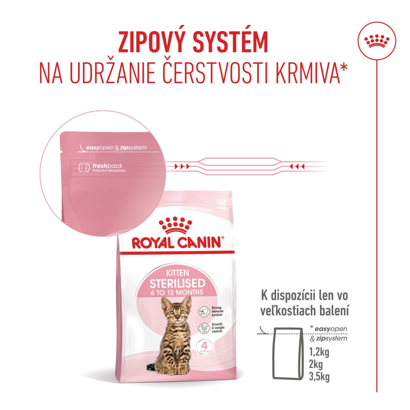 KITTEN STERILISED